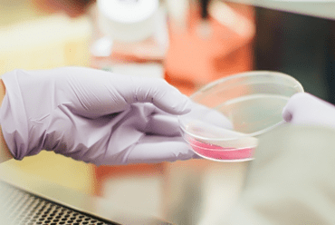 Annual TB Questionnare